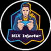 Nix Injector