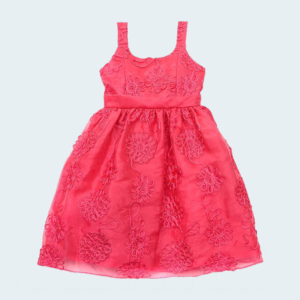 Embroidered Green Chiffon Suit with Net Dupatta