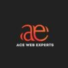 Ace Web experts