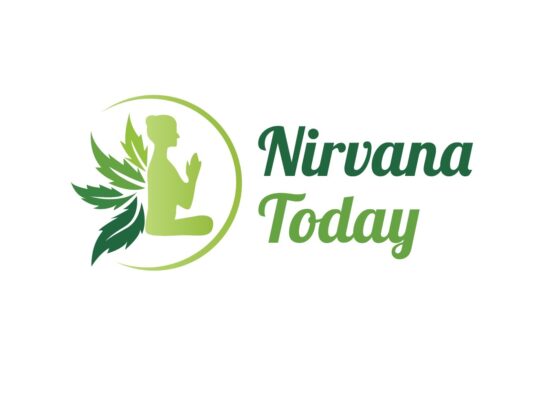 Nirvana Today LLC 