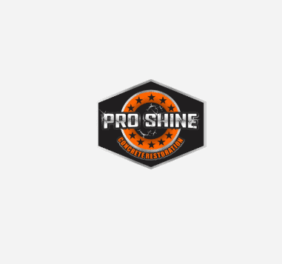 Pro Shine Concrete R...