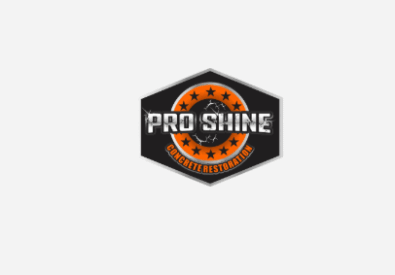 Pro Shine Concrete R...