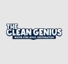 The Clean Genius