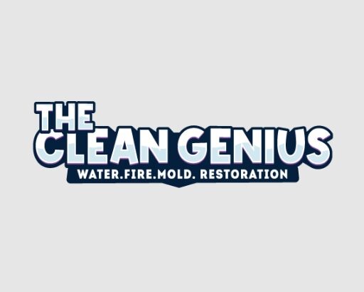 The Clean Genius 