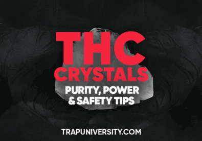 Trap University