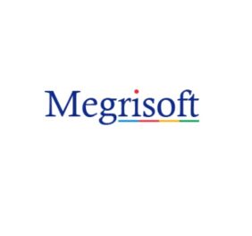 Megrisoft Limited